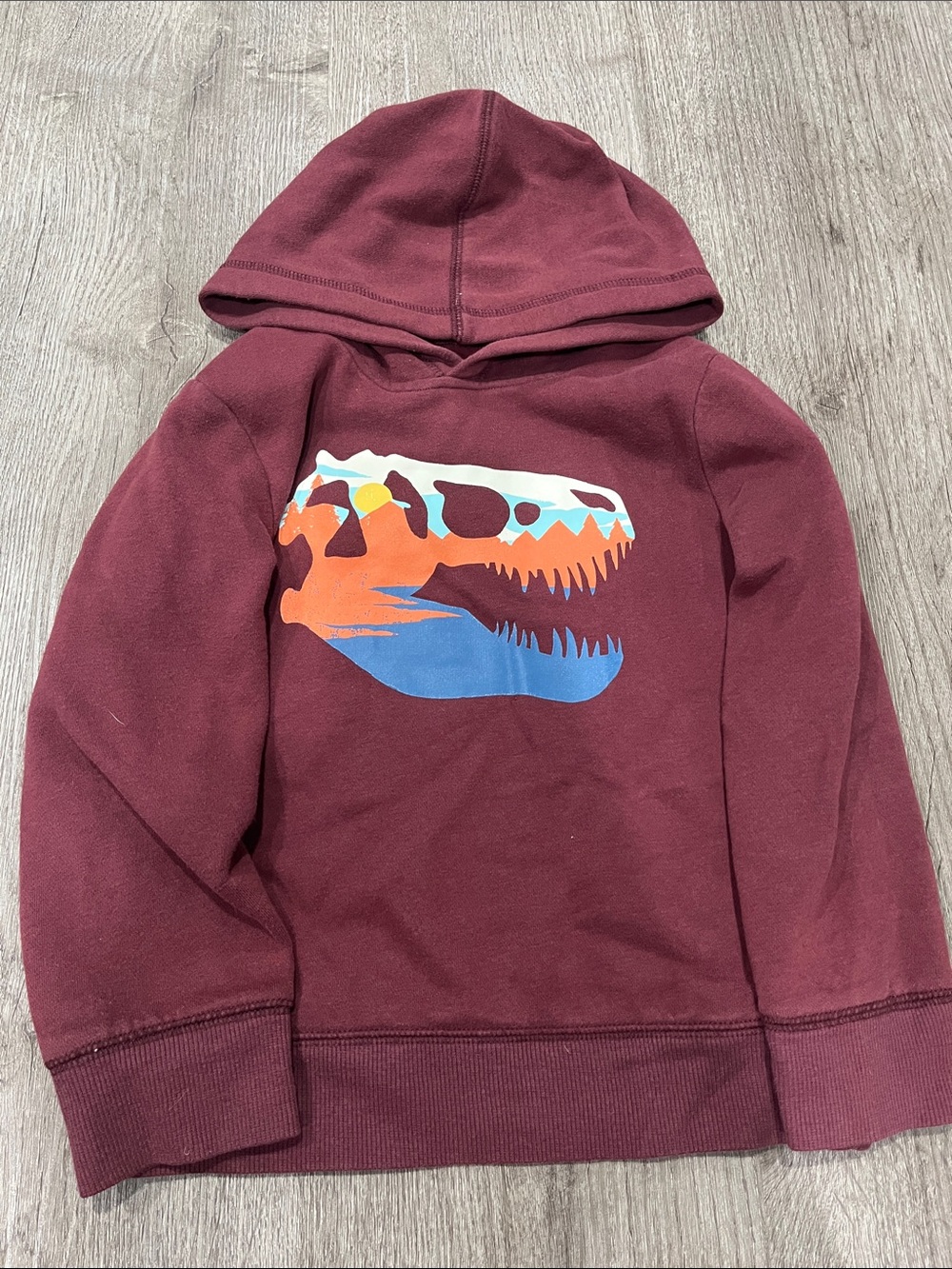 jumping beans Maroon Hoodie with Multicolor Dino Skull Graphic